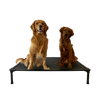 JointGuard Elevated Dog Bed