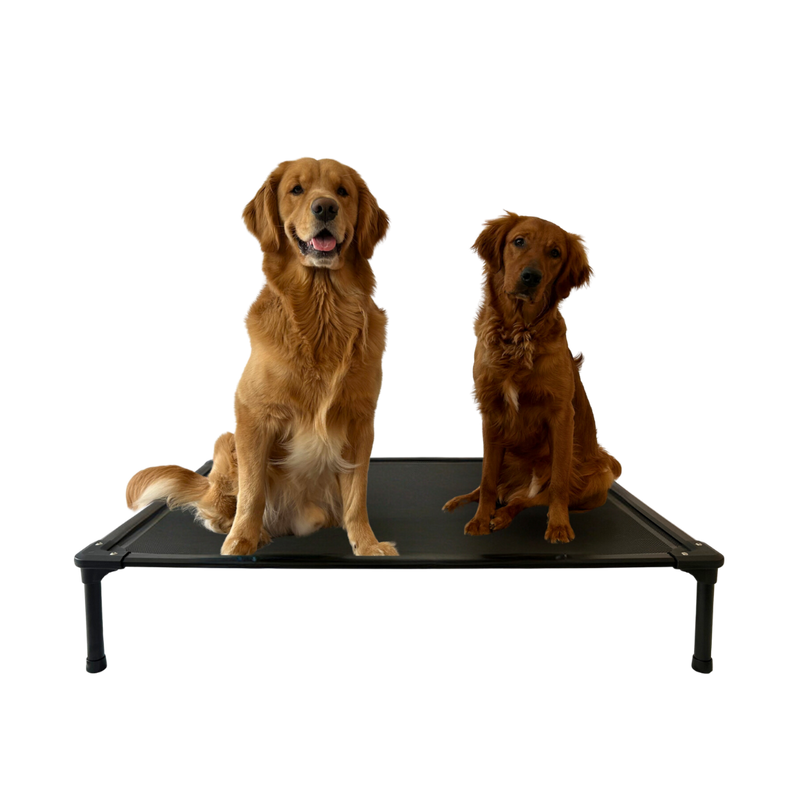 JointGuard Elevated Dog Bed